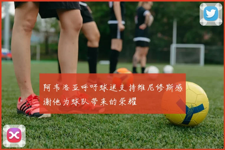 阿韦洛亚呼吁球迷支持维尼修斯感谢他为球队带来的荣耀