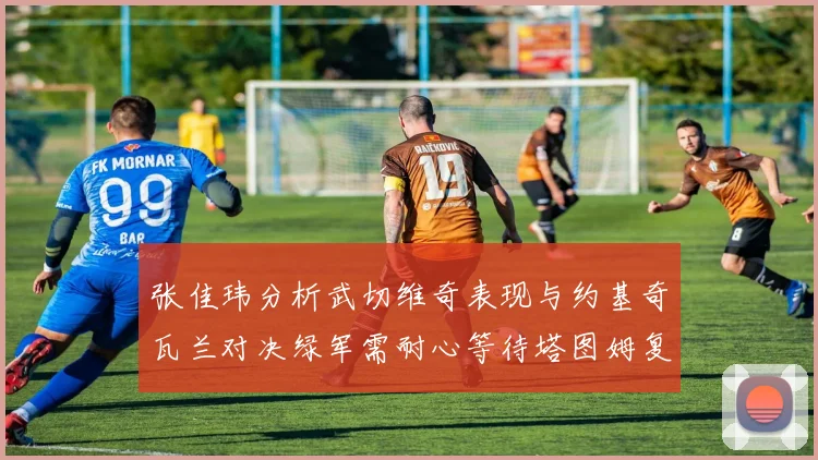 张佳玮分析武切维奇表现与约基奇瓦兰对决绿军需耐心等待塔图姆复出