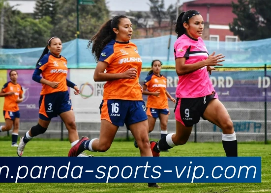 熊猫体育品牌故事