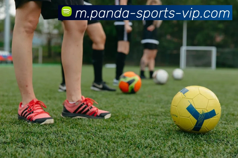 熊猫体育服务体系